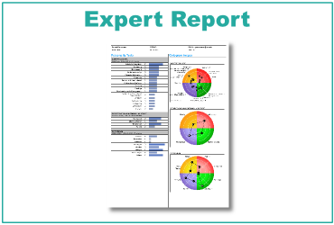 report_type_expert